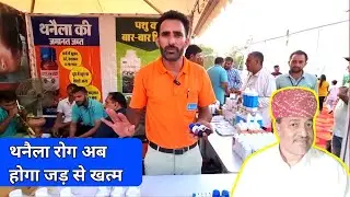Mastitis problem of cow and buffalo will be eradicated now. Mastitis problem solution in cow buff...
