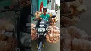 pawroti