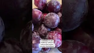 #CANNING PLUM APRICOT SAUCE #garden 