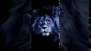 Galaxy Themes - [poly] blue lion