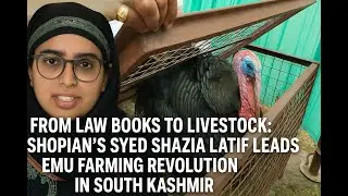 Shopian&rsquo;s Syed Shazia Latif Turns to Emu Farming