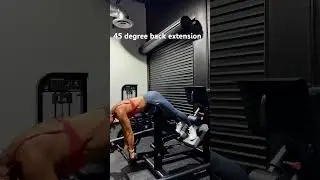 45 degree back extension