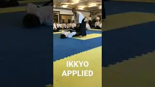 🔥 IKKYO APPLIED - Lewis Bernaldo de Quiros #takemusu #aikido #online #dojo 💧