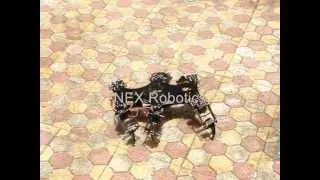 Longbow Hexapod platform by Nex Robotics
