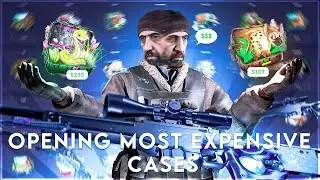 Opening Most Expensive Cases!!! (Pandaskins)