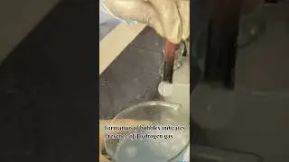 Reaction of metal with acid releases hydrogen gas. #alasar #coaching #experiment #reaction #shorts
