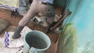 03/10/25/ this snake cobra caught by Thomas p Rodrigues uppunda 