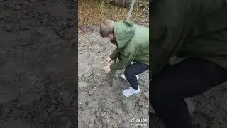 MrBeast - #teamtrees