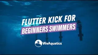Master the Flutter Kick | WeAquatics Swim Technique Training