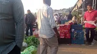 hoshiarpur mandi@ zamindar brother Shop number 8@. ______#566