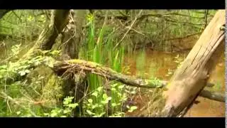 California Country Park