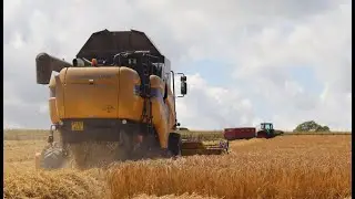Harvest 2023 in Cumbria - WH Fisher & Sons - New Holland CX6090