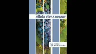 11/13 Život v zasl&iacute;ben&eacute; zemi | Jozue - Př&iacute;běh v&iacute;ry a odvahy | Barna Magyarosi | Průvodce Bible