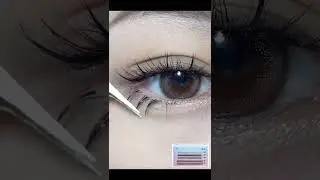 HOW TO APPLY FALSE BOTTOM EYELASHES | HOW TO APPLY INDIVIDUAL LASH CLUSTERS