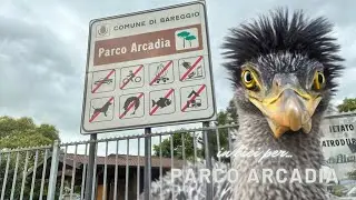 Parco Arcadia