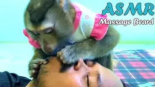 Lovely ASMR Personal Attention This Monkey Has, Triggers, Luxury Spa Beard