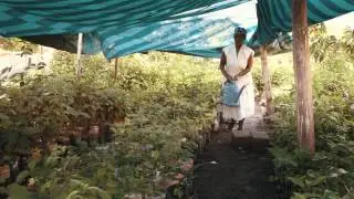 Buffelsdraai Community Reforestation Programme