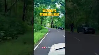 Valparai to Athirapalli road 🐘 #valparai #travel #touristattractions #touristdestinations