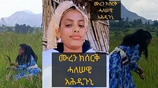 ዝጨደድኩዎ ሙረን ሓላዊ አሕዲጉኒ
