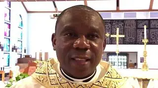 New Catholic priest ordained in Venice | Herald-Tribune