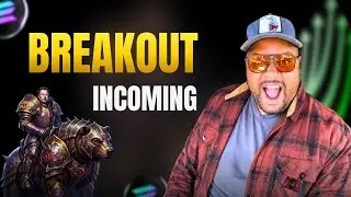 Bearly Legal OG 🐻🚀 Solana Degens Are Circling&hellip; Here&rsquo;s Why