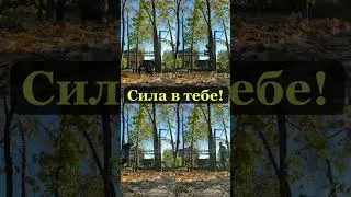 Моё любимое утро! #спорт #sports #природа #nature