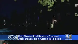 Dog Owner Cited, Relative Arrested After Dogs Attack In Palatine