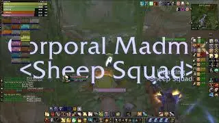 WoW Classic Anniversary Zul Gurub ret pally pov