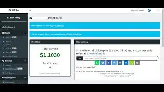 Make money in Paidera