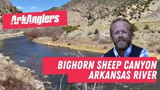 ArkAnglers Arkansas River Fishing Report from Bighorn Sheep Canyon