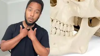 Jaw Position for Singing