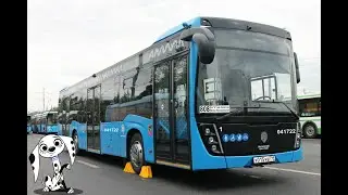 Поездка на автобусе НефАЗ-5299-40-52 (5299JP) № 041722 Маршрут № 808 Москва
