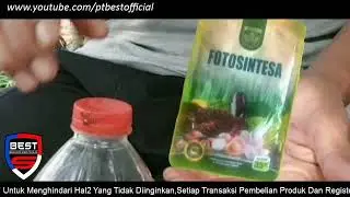 Kumpulan Testimoni Pupuk Eco Farming FOTOSINTESA Dari PT BEST