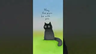 Purr wars 🐈&zwj;⬛🖤