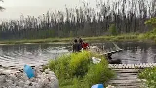 Wild Rice Harvest at Mercer River 2024