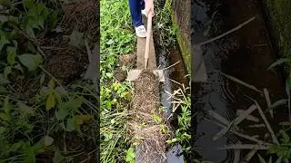Weeding the gutter - good tools make the job more efficient