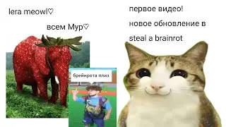 Новое обновление в steal a brainrot? 