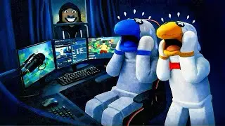 THE STREAMING INCIDENT! ROBLOX