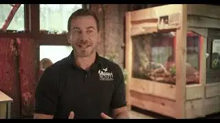 Center For Wildlife - Bob Dale - Their Mission And How You Can Get Involved