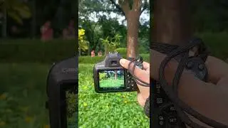Canon 1200d