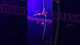 Defying Gravity! 🎪✨ Amazing Aerial Performance at the Circus &ndash; WICKED Style!