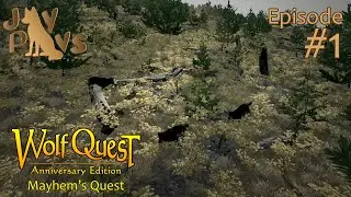 Chaos On the Mountain! | WolfQuest: Mayhem's Quest [Denless Challenge] #1