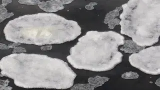 Ice Pancakes Floating Near the Local Dam &ndash; Rare Winter Magic!