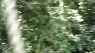 Kakrum National Park on the canopy walk