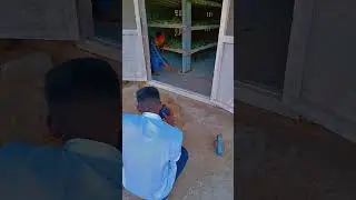 #Hit3 movie#shorts#trailer#coming soonon#yt ruling boys#dosubscribe #dosupport#viral#cinema#heronani