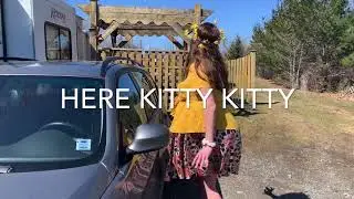 Joe exotic- Here Kitty Kitty remake