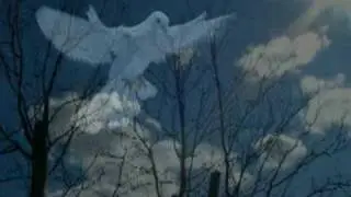 Pacem in terris - Marco Frisina