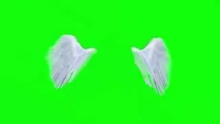 Angie Wings green screen 