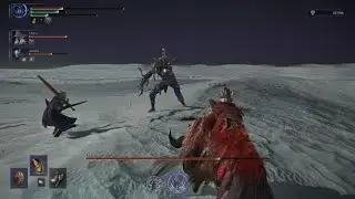 ELDEN RING NIGHTREIGN - Clutchster (Final Boss)