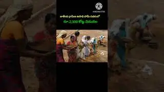 breaking news..!మూడు నెలల డబ్బులు ఖాతాలో పడిందో లేదో చెక్ చేసుకోండి#shorts #short #tranding
